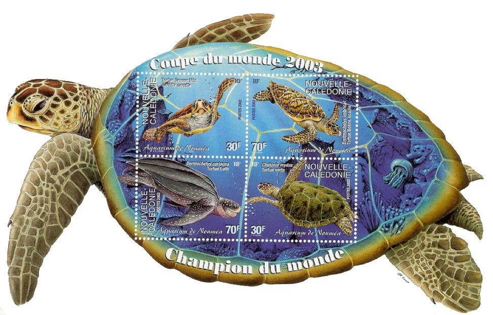 Turtle Stamps